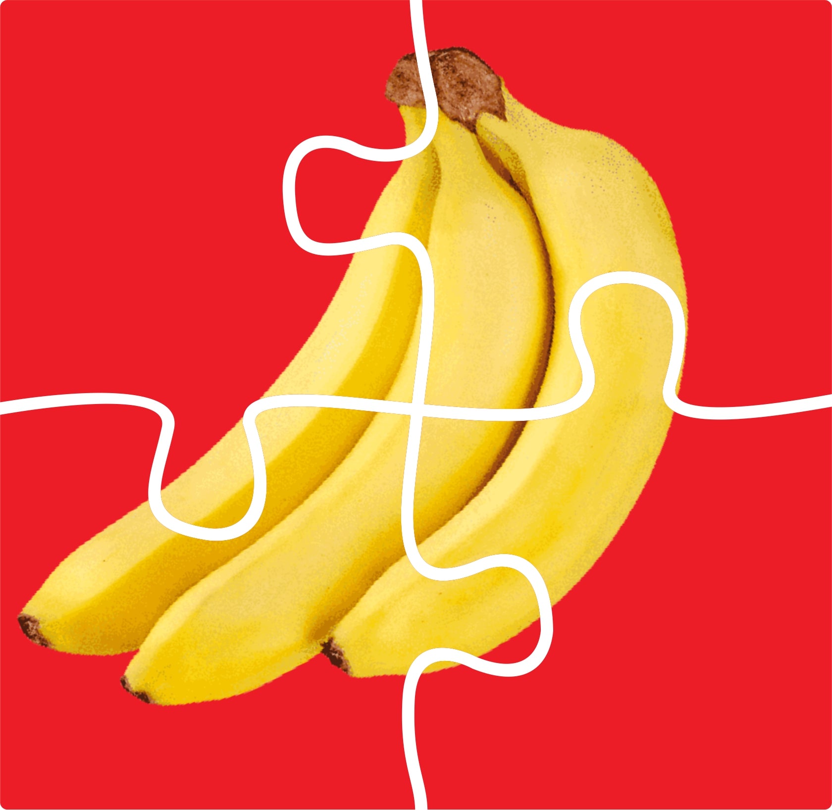 Fruit Toy Puzzle for Kids – Fun & Educational