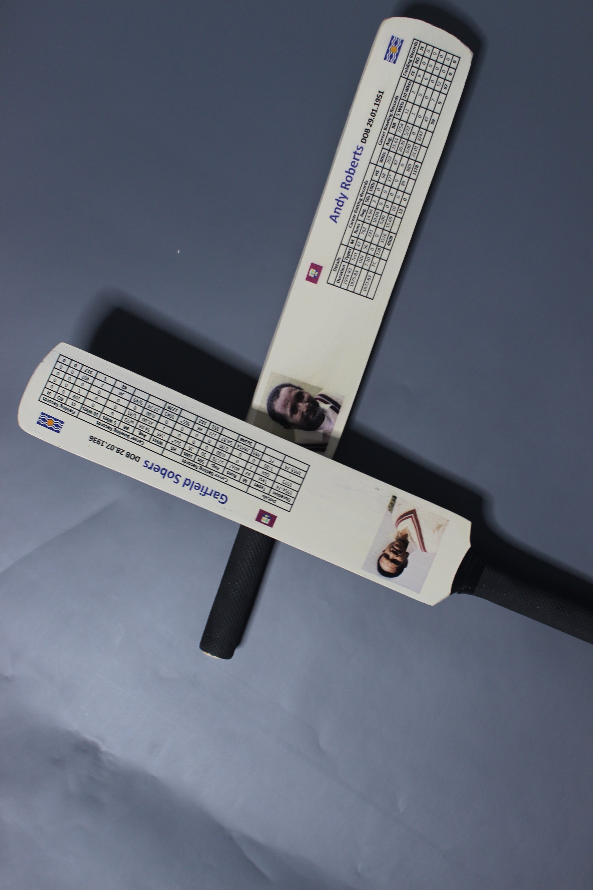 Customized  Bats – Personalized Cricket & Sports Bats for Enthusiasts