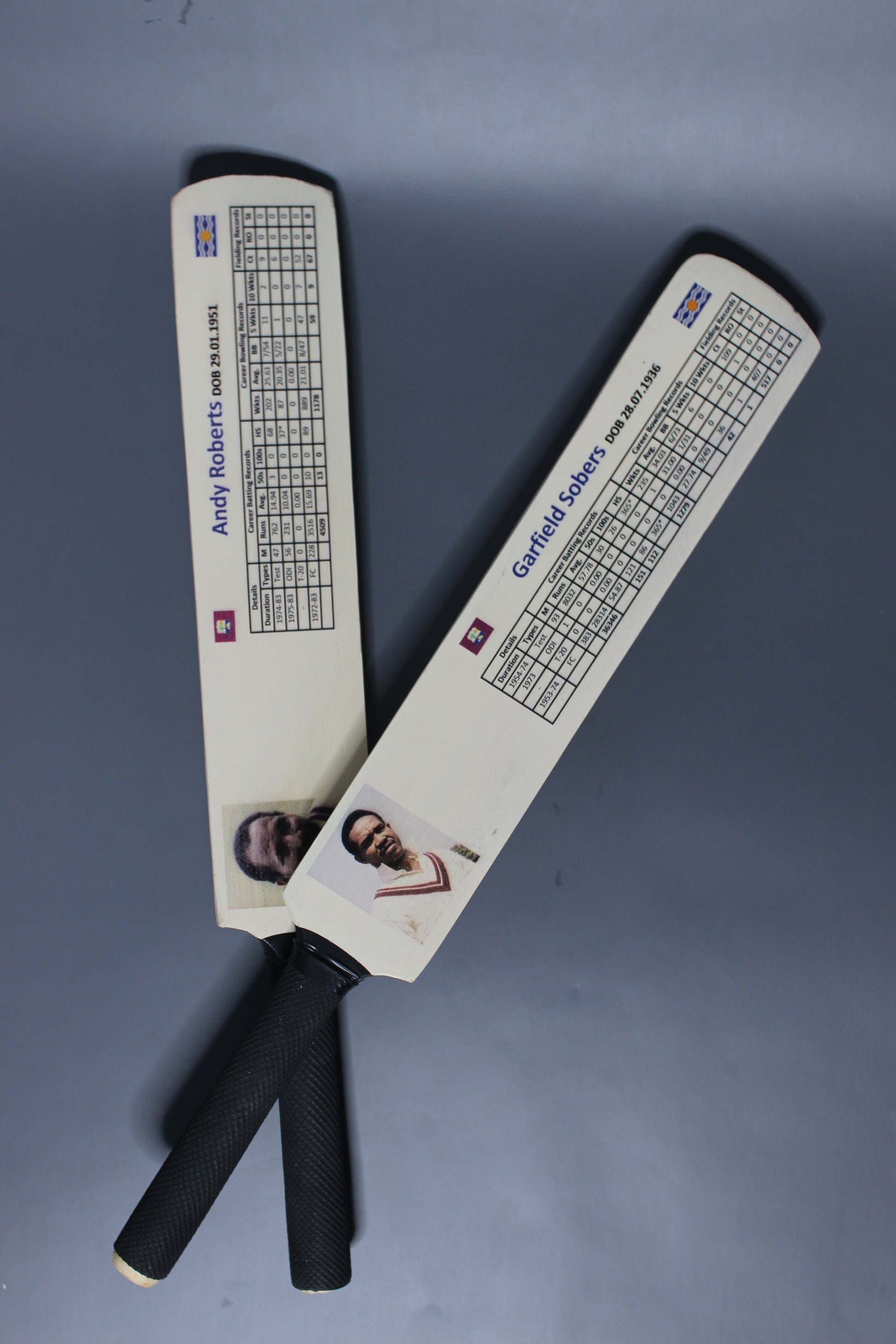 Customized  Bats – Personalized Cricket & Sports Bats for Enthusiasts