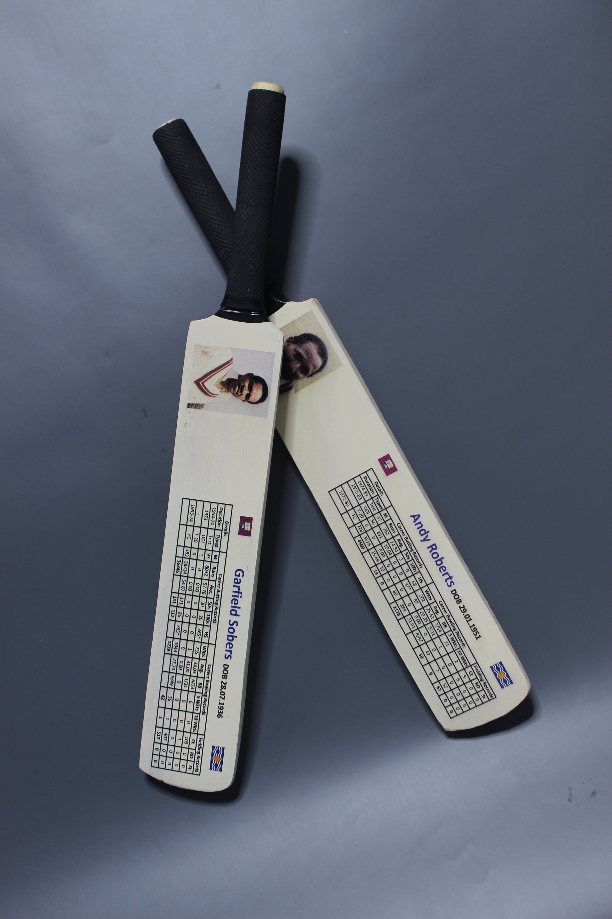 Customized  Bats – Personalized Cricket & Sports Bats for Enthusiasts