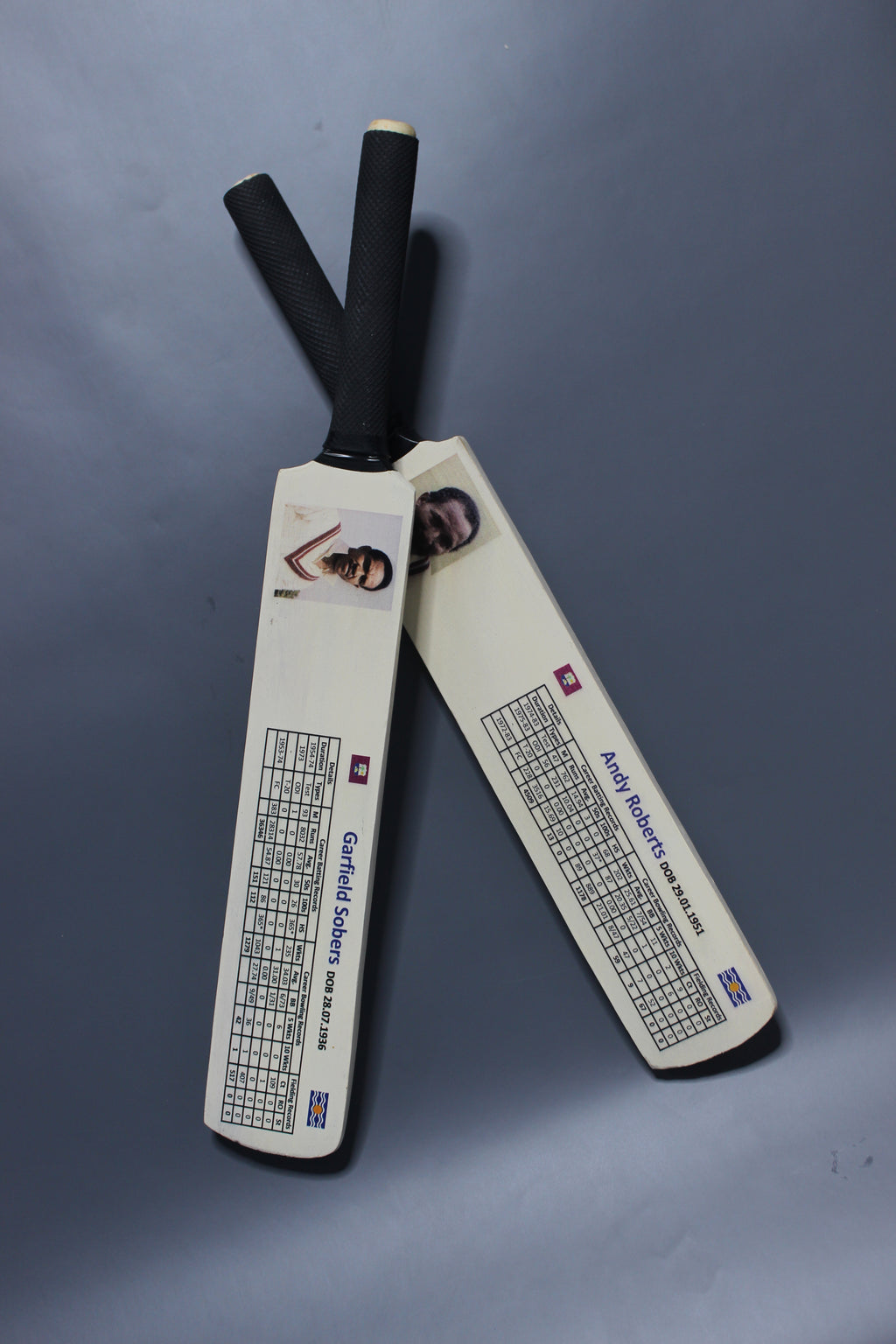 Customized  Bats – Personalized Cricket & Sports Bats for Enthusiasts